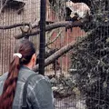 Ksuha из Кагарлика, ищу на сайте постоянные отношения