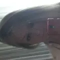 Я Руслана, 19, из Выксы, ищу знакомство для дружбы