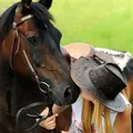 Я Тамара, 23, из Унечи, ищу знакомство для постоянных отношений