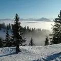 Я Белла, 24, знакомлюсь для вирта в Большом Камне