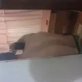 Олег из Северской, мне 41, познакомлюсь без обязательств