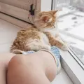 Аня из Зеленого Бора, ищу на сайте знакомства на одну ночь