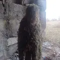 Anton из Салехарда, ищу на сайте секс на одну ночь