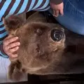 Александр из Судака, ищу на сайте приятное времяпровождение