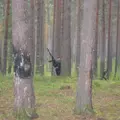 Колян из Полевского, ищу на сайте регулярный секс