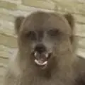 Александр из Кызыла, ищу на сайте секс на одну ночь