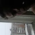 Я Денис, 29, из Тотьмы, ищу знакомство для секса на одну ночь