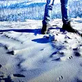 Евгений из Белгорода, ищу на сайте без обязательств