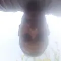 Я Виталий, 45, знакомлюсь без обязательств в Горячем Ключе