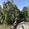 Я Карина, 19, знакомлюсь для общения в Волгограде