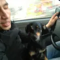 Я Рус, 36, знакомлюсь для регулярного секса в Павлове