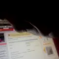 Старый Бродяга из Бирска, мне 41, познакомлюсь без обязательств