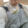 Andrey из Брянска, мне 38, познакомлюсь для общения
