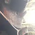 Даниил из Смоленска, ищу на сайте секс на одну ночь