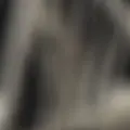 Мила из Сочи, ищу на сайте совместные путешествия
