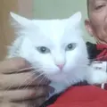 Я Андрей, 44, знакомлюсь для дружбы в Якутске