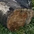 Я Mirad, 25, знакомлюсь для секса на одну ночь в Лебедяни