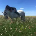 Дарья из Самары, мне 23, познакомлюсь для общения