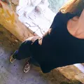 Яна из Благовещенска, ищу на сайте вирта