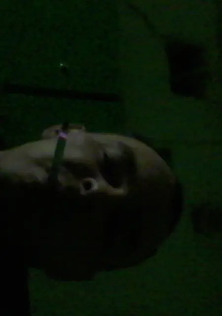 Roman из Владивостока, мне 47, познакомлюсь на одну ночь