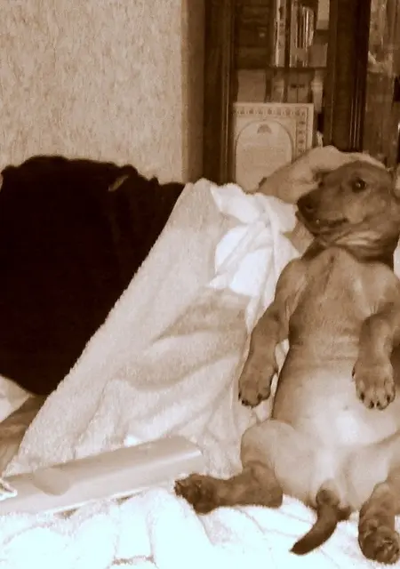 Женя из Ставрополя, ищу на сайте знакомства на одну ночь