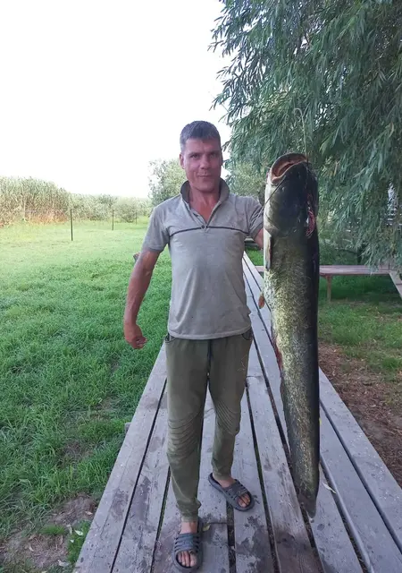 Andrei из Астрахани, мне 39, познакомлюсь без обязательств