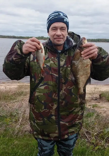 Николай из Балахны, ищу на сайте знакомства на одну ночь