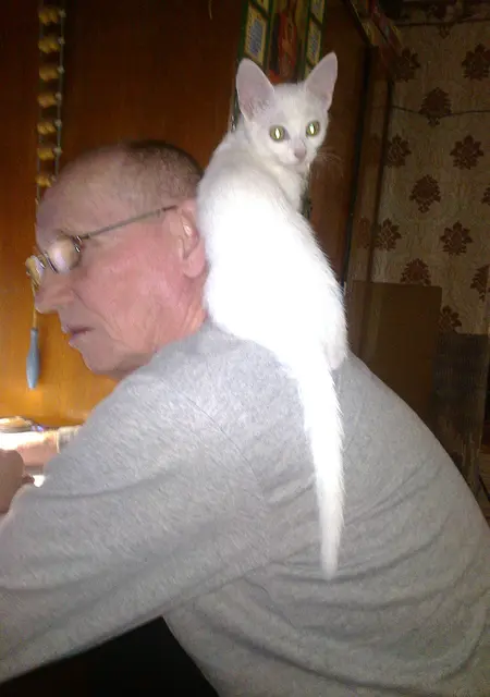 Виктор из Симферополя, ищу на сайте знакомства на одну ночь