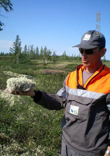 Я Renat, 58, из Набережных Челнов, ищу знакомства на одну ночь