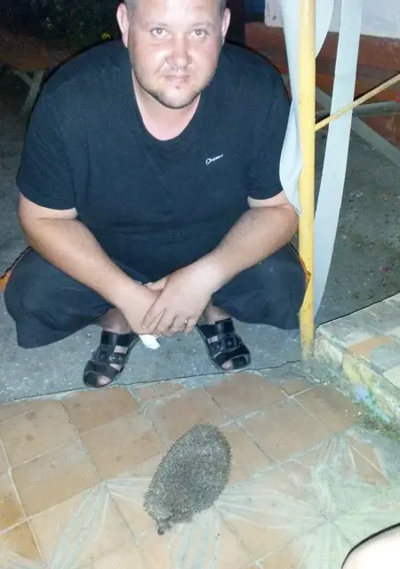 Я Vadim, 43, из Ногинска, ищу знакомства на одну ночь