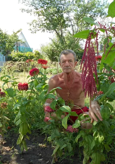 Я Сергей, 79, знакомлюсь для постоянных отношений в Саратове