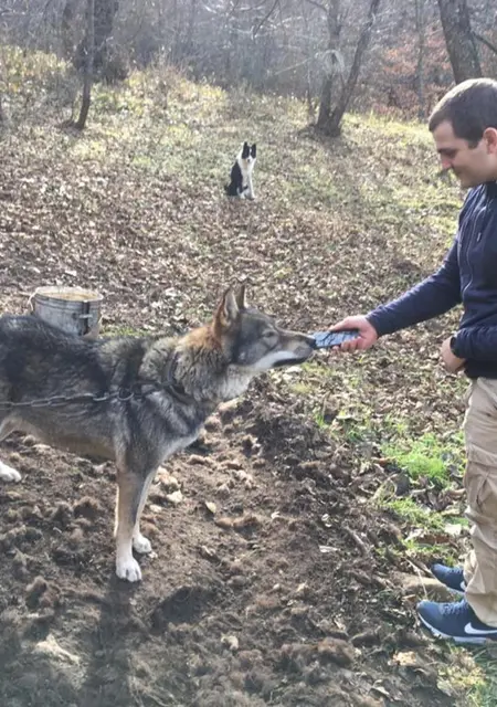 Я Сергей, 50, знакомлюсь для постоянных отношений в Королеве