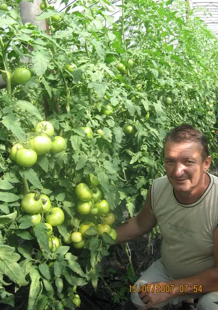 Я Aleks, 65 років, знайомлюсь без зобов'язань у Харкові