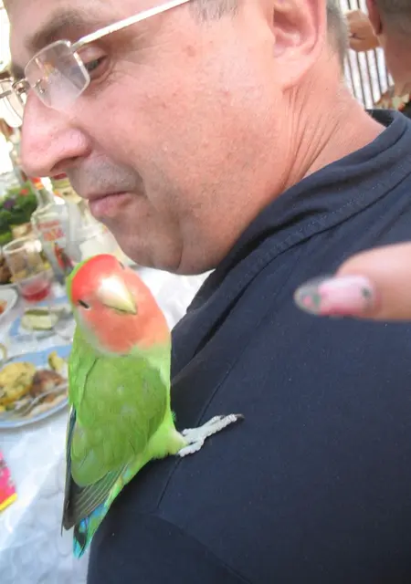 Я Vasiliy, 63, из Киева, ищу знакомства без обязательств