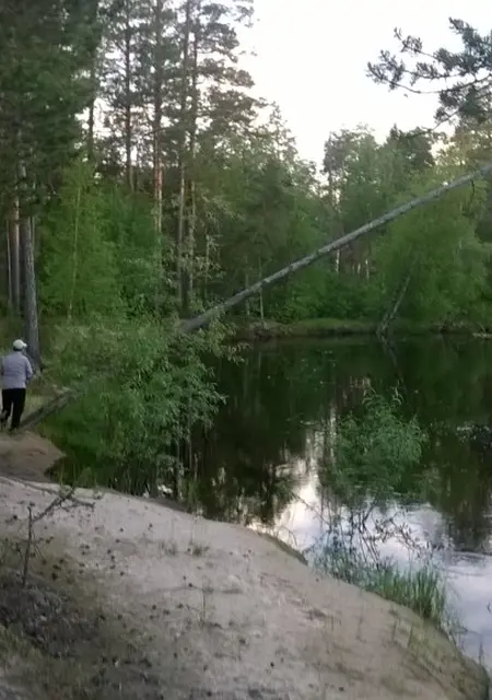 Я Rimmir, 45, знакомлюсь для общения в Покачи