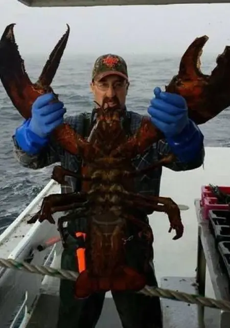 Анатолий из Перми, ищу на сайте знакомства на одну ночь