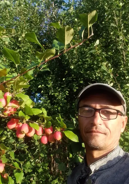 Алишар из Новосибирска, мне 51, познакомлюсь для постоянных отношений