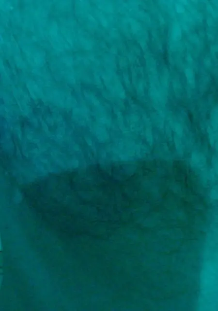 Семён из Ишима, ищу на сайте знакомства без обязательств