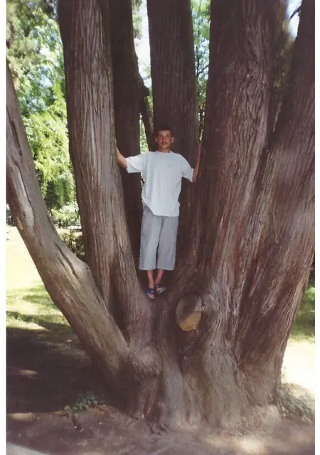 Я Сергей, 47, знакомлюсь без обязательств в Тайшете