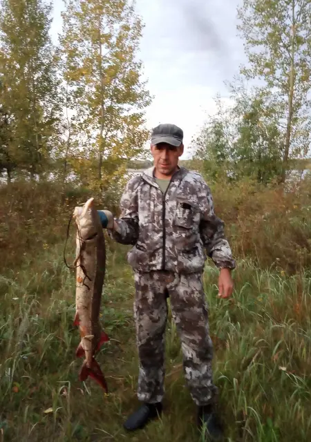 Я Эдд, 50, знакомлюсь без обязательств в Когалыме