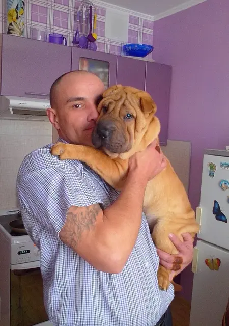 Я Дмитрий, 45, из Тюмени, ищу знакомство для постоянных отношений