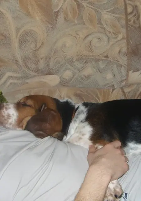 Я Александр, 43, из Обнинска, ищу знакомство для постоянных отношений