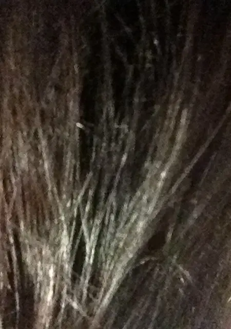 Я Милена, 46, из Тулы, ищу знакомство для дружбы