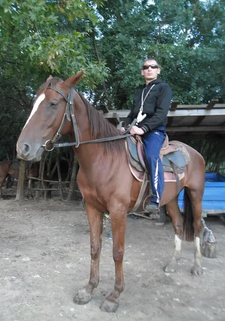 Владимир Марина из Минеральных Вод, ищу на сайте знакомства на одну ночь