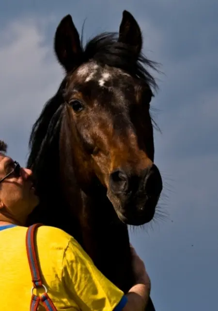 Andrew из Смоленска, мне 50, познакомлюсь на одну ночь