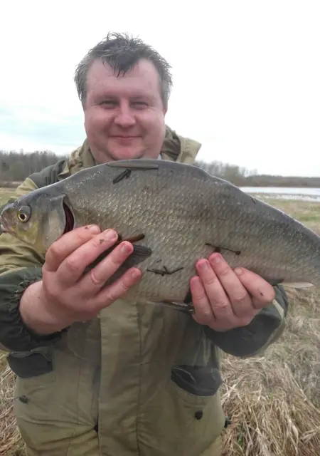 Дмитрий из Дмитрова, мне 46, познакомлюсь на одну ночь