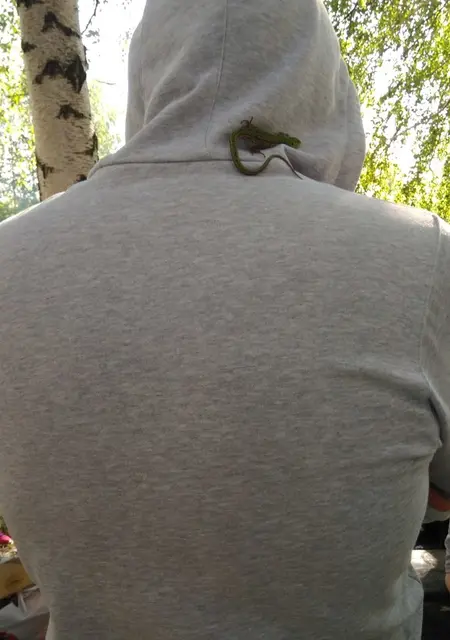 Алексей из Ногинска, ищу на сайте общение