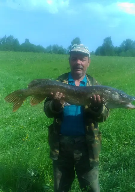 Я Сергей, 62, из Ярославля, ищу знакомства без обязательств