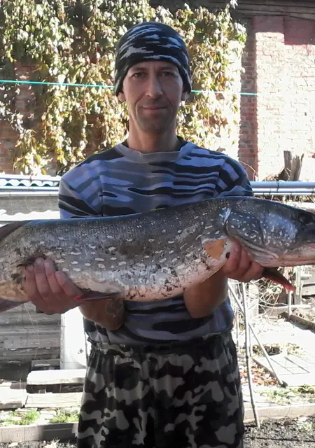 Я Слава, 54, знакомлюсь без обязательств в Саратове