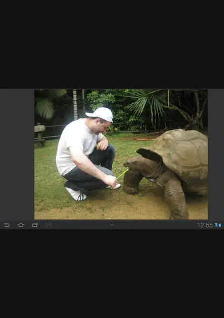 Я Alan, 47, из Владикавказа, ищу знакомство для постоянных отношений